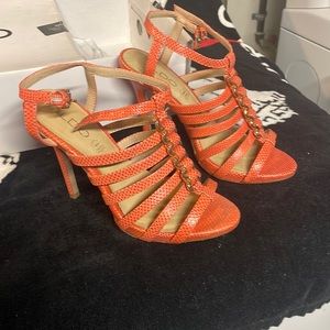 Beautiful shade of orange